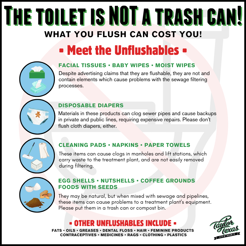 Unflushables Toilet square 2025